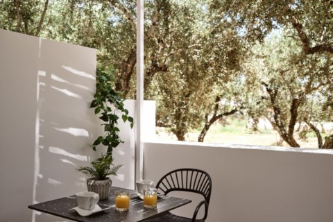 Sanpiero Island Holidays in Zakynthos Greece